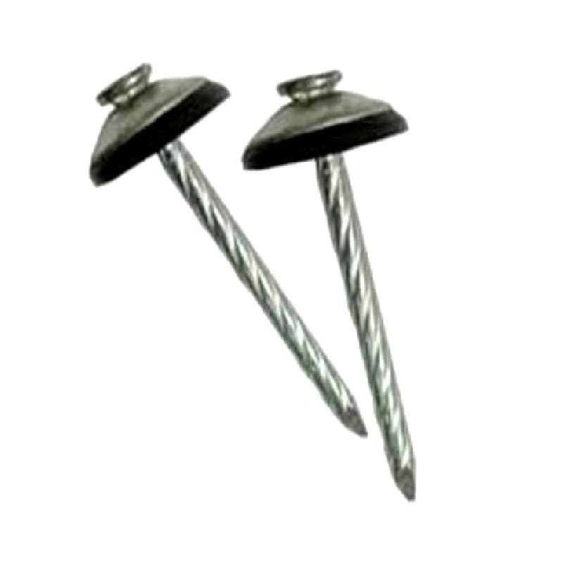 Imagen de CLAVO PARA TECHO 2 1/2" BOLSA 1KG