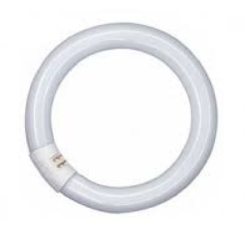 Imagen de TUBO FLUORESCENTE CIRCULAR 22W